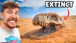 Public thumbnail 3