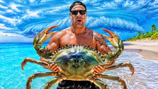 Public thumbnail 1